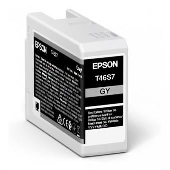 Original Epson Patrone T46S7 Grau 